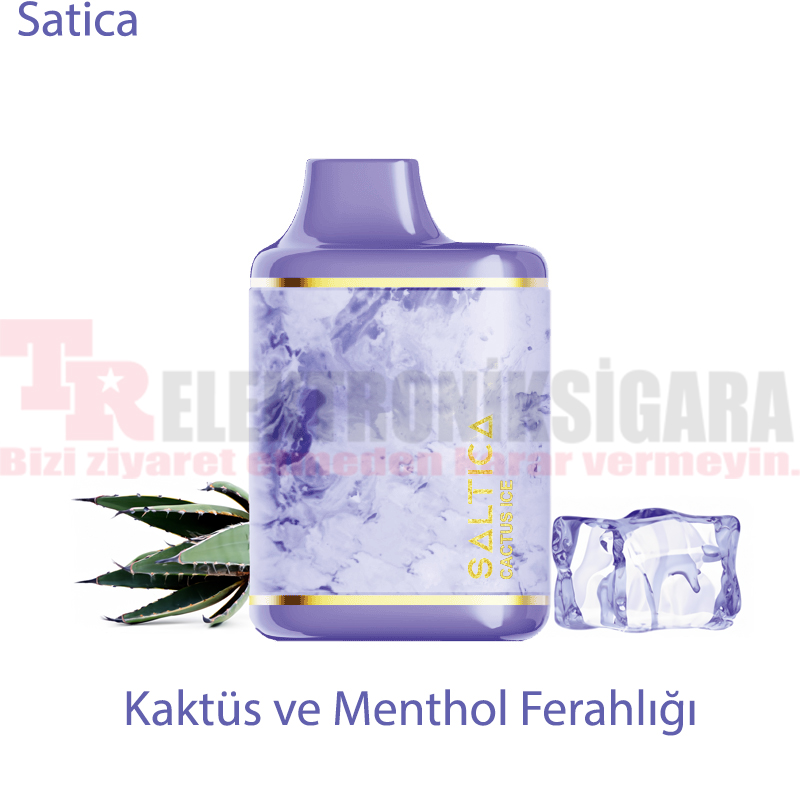 Saltica Leather 7000 Puff Bar 50mg Nikotin Cactus İce