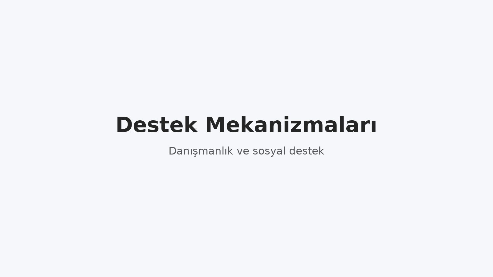Destek Mekanizmaları